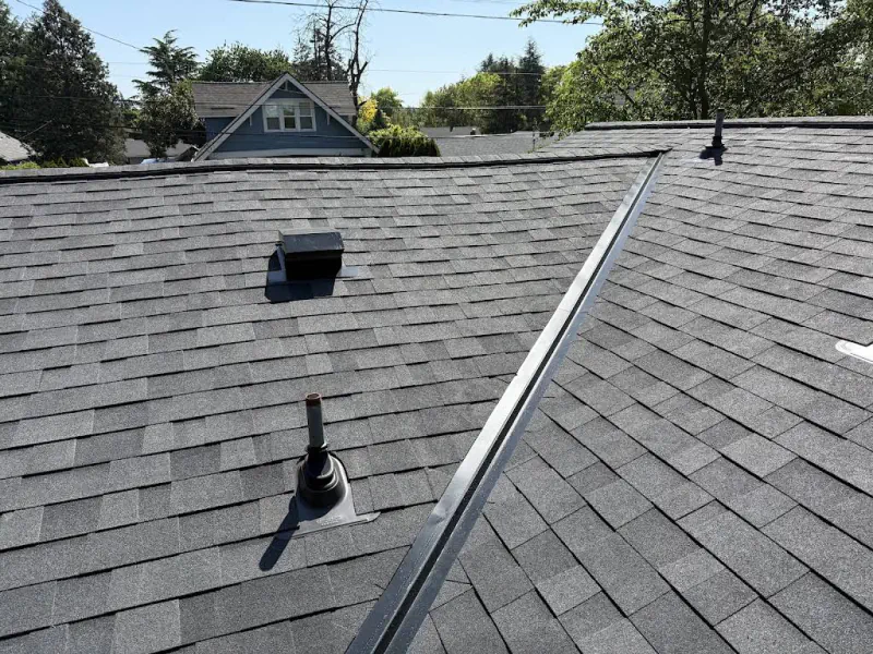 Tonys Roofing